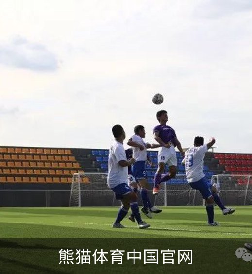 熊猫体育中国官网简介